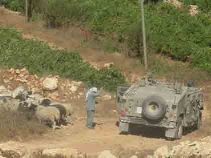 Les villages à l’Est de Yatta : entre les expulsions israéliennes forcées et l’oubli palestinien